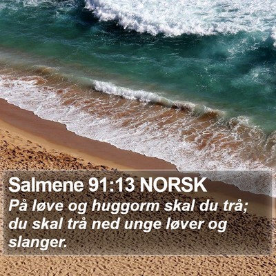 Salmene 91:13 NORSK Bible Verse Image