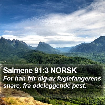 Salmene 91:3 NORSK Bible Verse Image