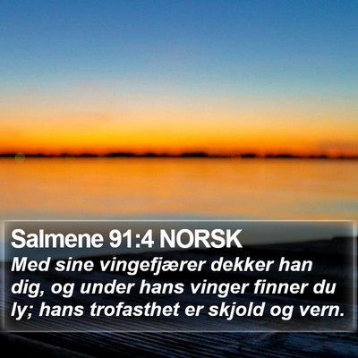 Salmene 91:4 NORSK Bible Verse Image