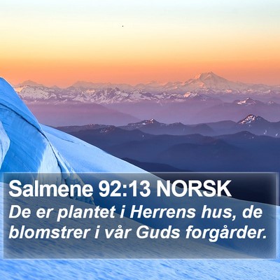 Salmene 92:13 NORSK Bible Verse Image