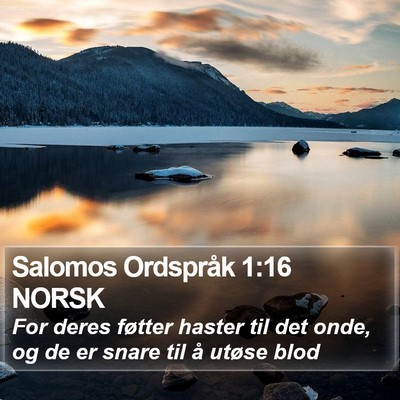 Salomos Ordspråk 1:16 NORSK Bible Verse Image
