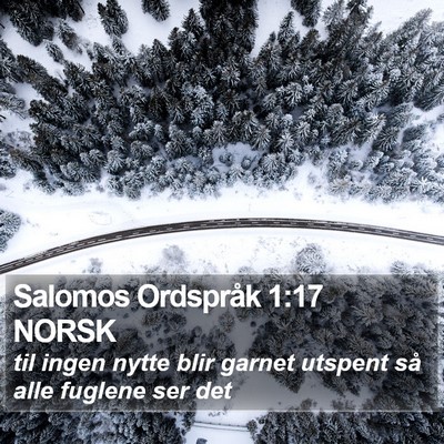 Salomos Ordspråk 1:17 NORSK Bible Verse Image