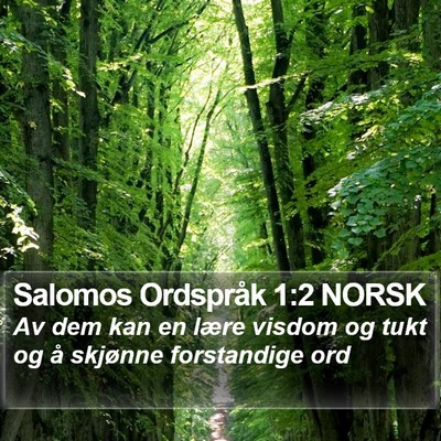 Salomos Ordspråk 1:2 NORSK Bible Verse Image