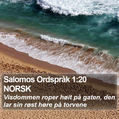 Salomos Ordspråk 1:20 NORSK Bible Verse Image