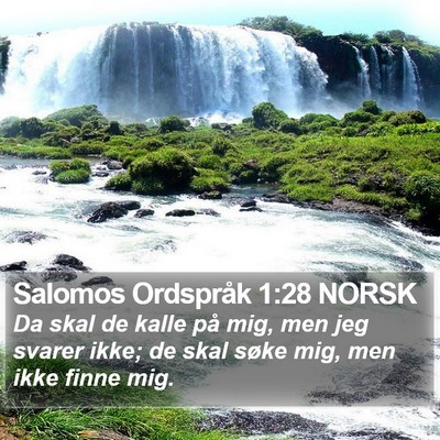 Salomos Ordspråk 1:28 NORSK Bible Verse Image