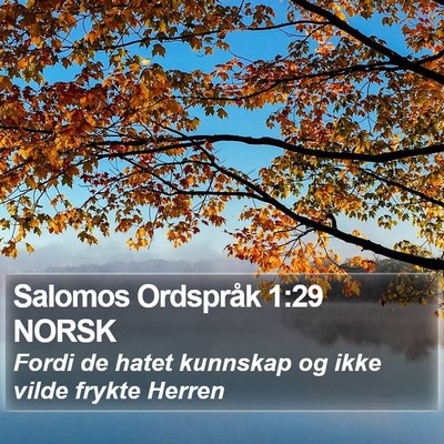 Salomos Ordspråk 1:29 NORSK Bible Verse Image