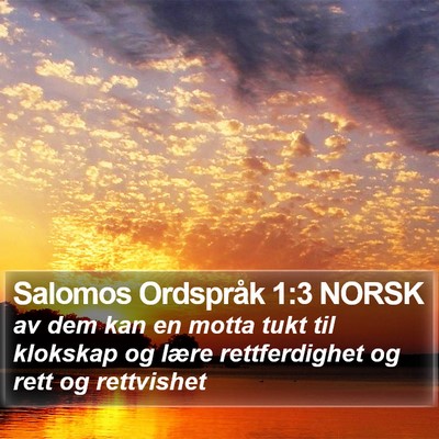 Salomos Ordspråk 1:3 NORSK Bible Verse Image