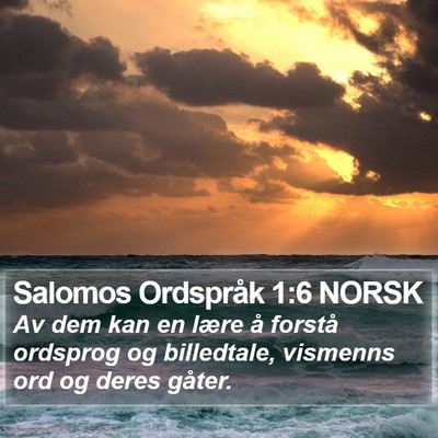 Salomos Ordspråk 1:6 NORSK Bible Verse Image