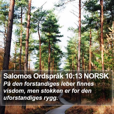 Salomos Ordspråk 10:13 NORSK Bible Verse Image