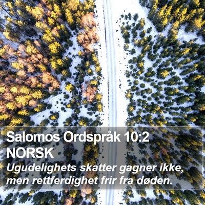 Salomos Ordspråk 10:2 NORSK Bible Verse Image