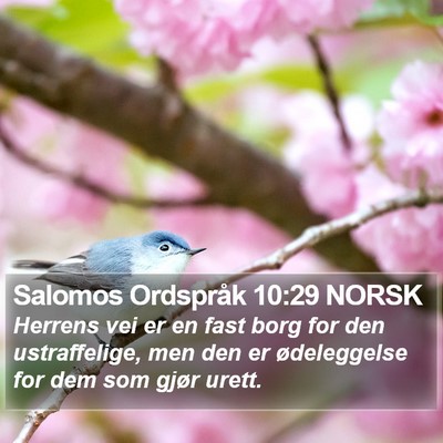 Salomos Ordspråk 10:29 NORSK Bible Verse Image