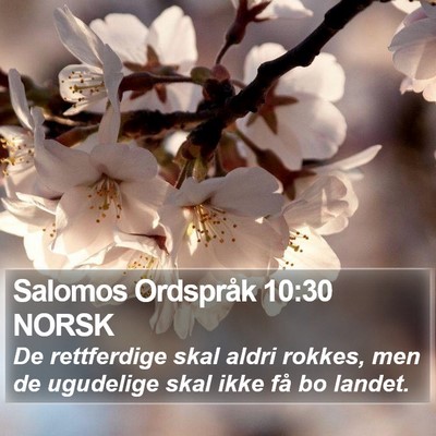 Salomos Ordspråk 10:30 NORSK Bible Verse Image
