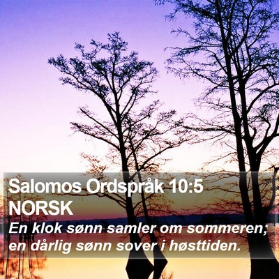 Salomos Ordspråk 10:5 NORSK Bible Verse Image