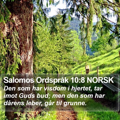 Salomos Ordspråk 10:8 NORSK Bible Verse Image