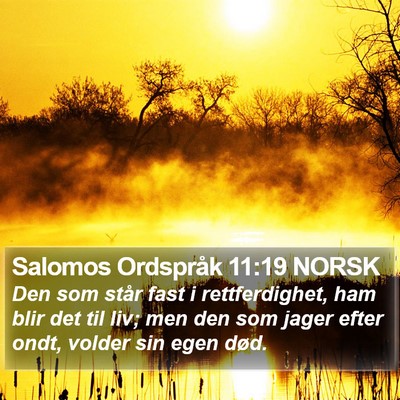Salomos Ordspråk 11:19 NORSK Bible Verse Image