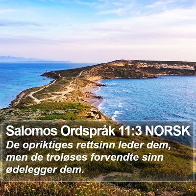 Salomos Ordspråk 11:3 NORSK Bible Verse Image