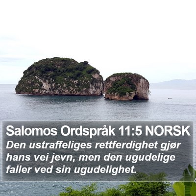 Salomos Ordspråk 11:5 NORSK Bible Verse Image