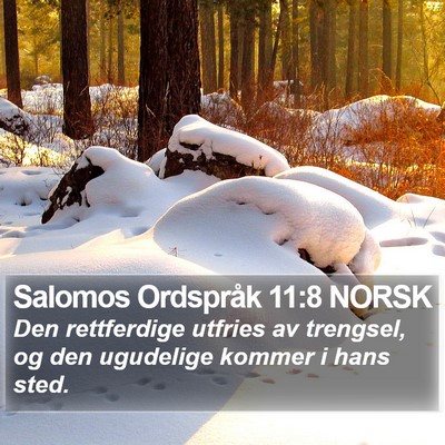 Salomos Ordspråk 11:8 NORSK Bible Verse Image