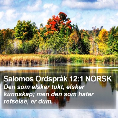 Salomos Ordspråk 12:1 NORSK Bible Verse Image