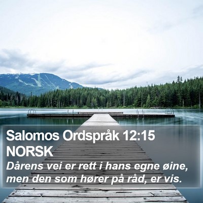 Salomos Ordspråk 12:15 NORSK Bible Verse Image