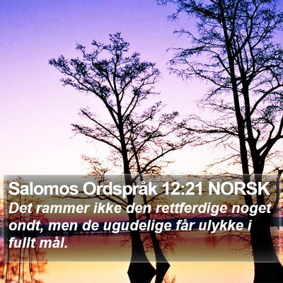Salomos Ordspråk 12:21 NORSK Bible Verse Image