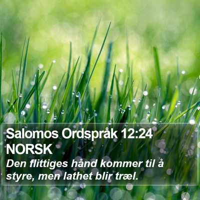 Salomos Ordspråk 12:24 NORSK Bible Verse Image