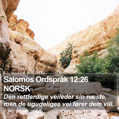 Salomos Ordspråk 12:26 NORSK Bible Verse Image