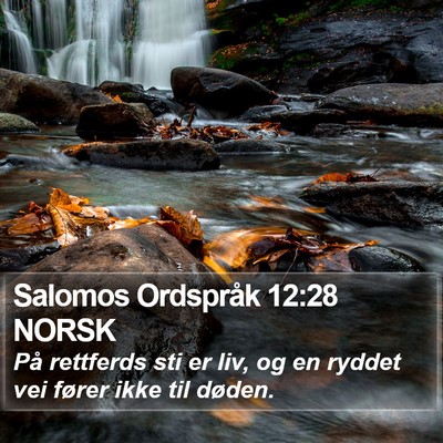 Salomos Ordspråk 12:28 NORSK Bible Verse Image