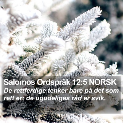 Salomos Ordspråk 12:5 NORSK Bible Verse Image