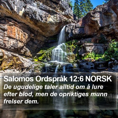 Salomos Ordspråk 12:6 NORSK Bible Verse Image