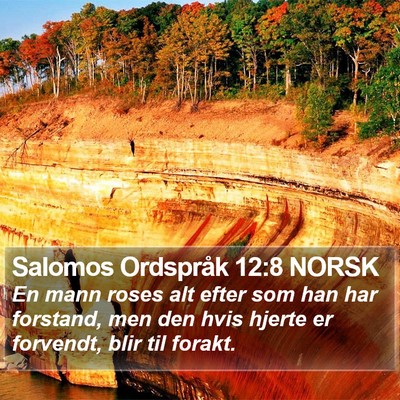 Salomos Ordspråk 12:8 NORSK Bible Verse Image