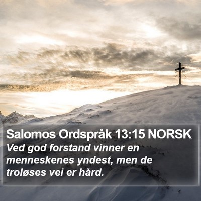 Salomos Ordspråk 13:15 NORSK Bible Verse Image