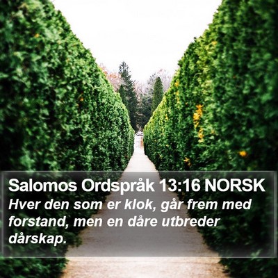 Salomos Ordspråk 13:16 NORSK Bible Verse Image