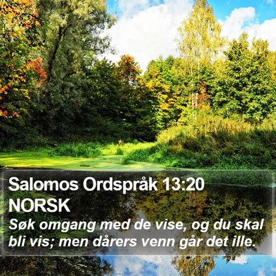 Salomos Ordspråk 13:20 NORSK Bible Verse Image