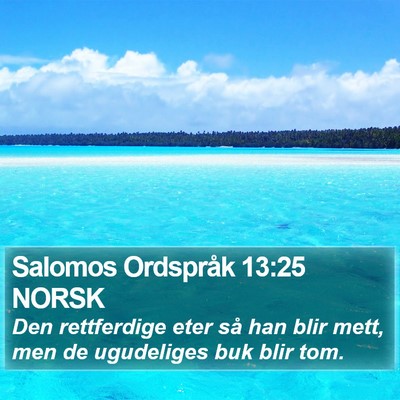 Salomos Ordspråk 13:25 NORSK Bible Verse Image