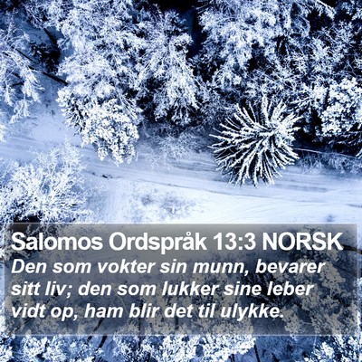 Salomos Ordspråk 13:3 NORSK Bible Verse Image