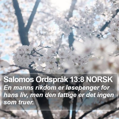 Salomos Ordspråk 13:8 NORSK Bible Verse Image