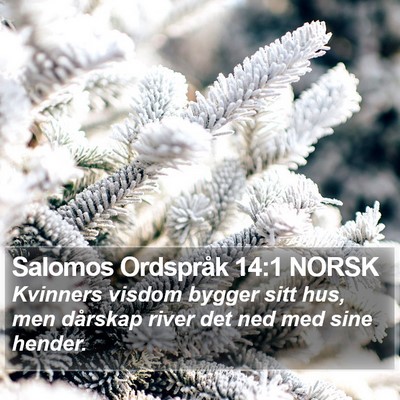 Salomos Ordspråk 14:1 NORSK Bible Verse Image