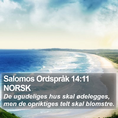 Salomos Ordspråk 14:11 NORSK Bible Verse Image