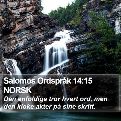 Salomos Ordspråk 14:15 NORSK Bible Verse Image