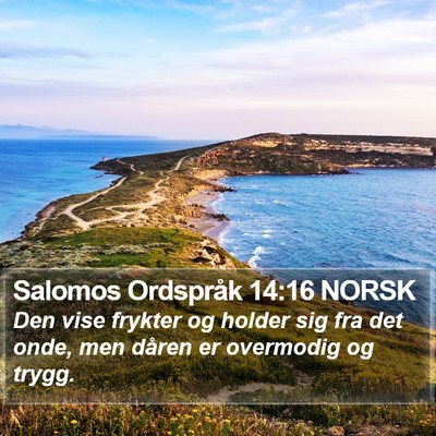 Salomos Ordspråk 14:16 NORSK Bible Verse Image