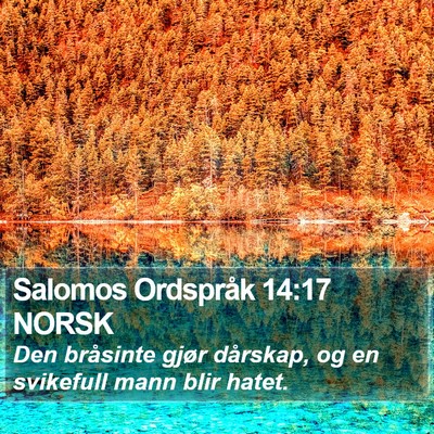 Salomos Ordspråk 14:17 NORSK Bible Verse Image