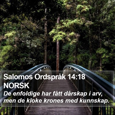 Salomos Ordspråk 14:18 NORSK Bible Verse Image