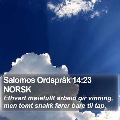 Salomos Ordspråk 14:23 NORSK Bible Verse Image