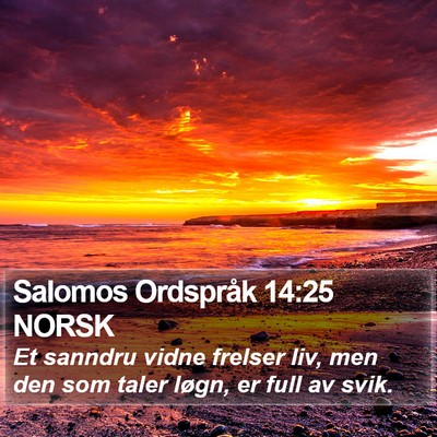 Salomos Ordspråk 14:25 NORSK Bible Verse Image