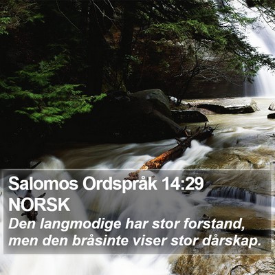Salomos Ordspråk 14:29 NORSK Bible Verse Image