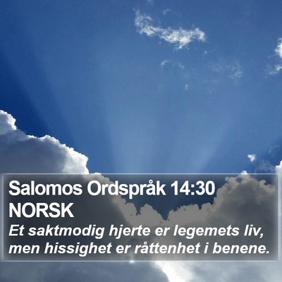 Salomos Ordspråk 14:30 NORSK Bible Verse Image