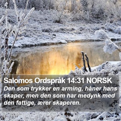 Salomos Ordspråk 14:31 NORSK Bible Verse Image