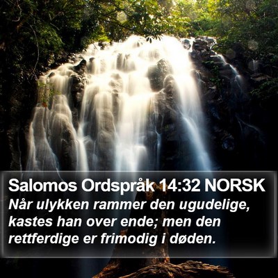 Salomos Ordspråk 14:32 NORSK Bible Verse Image