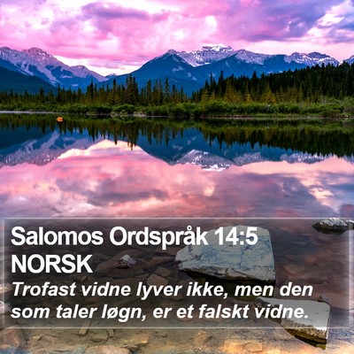 Salomos Ordspråk 14:5 NORSK Bible Verse Image